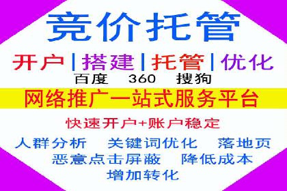 SEO百度推广策略：成功案例解析